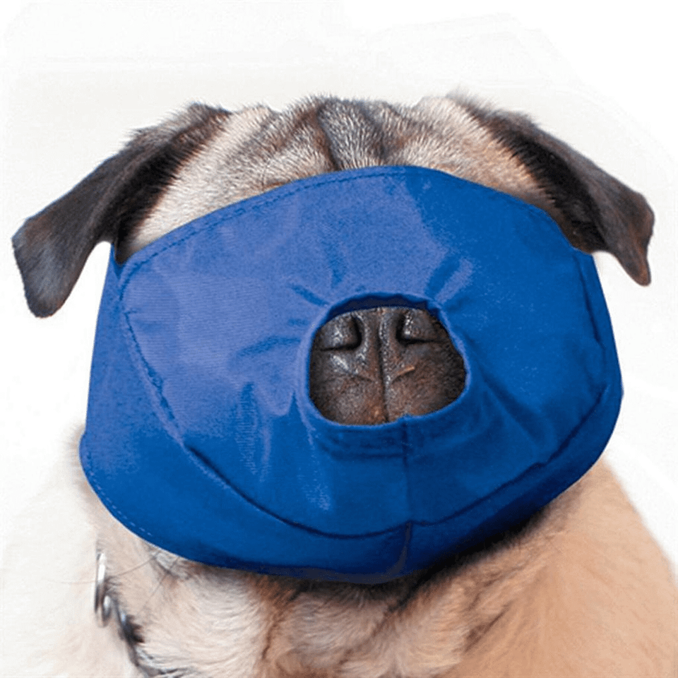 Four Flags Quick Pug Muzzle — Flat-Faced Breeds