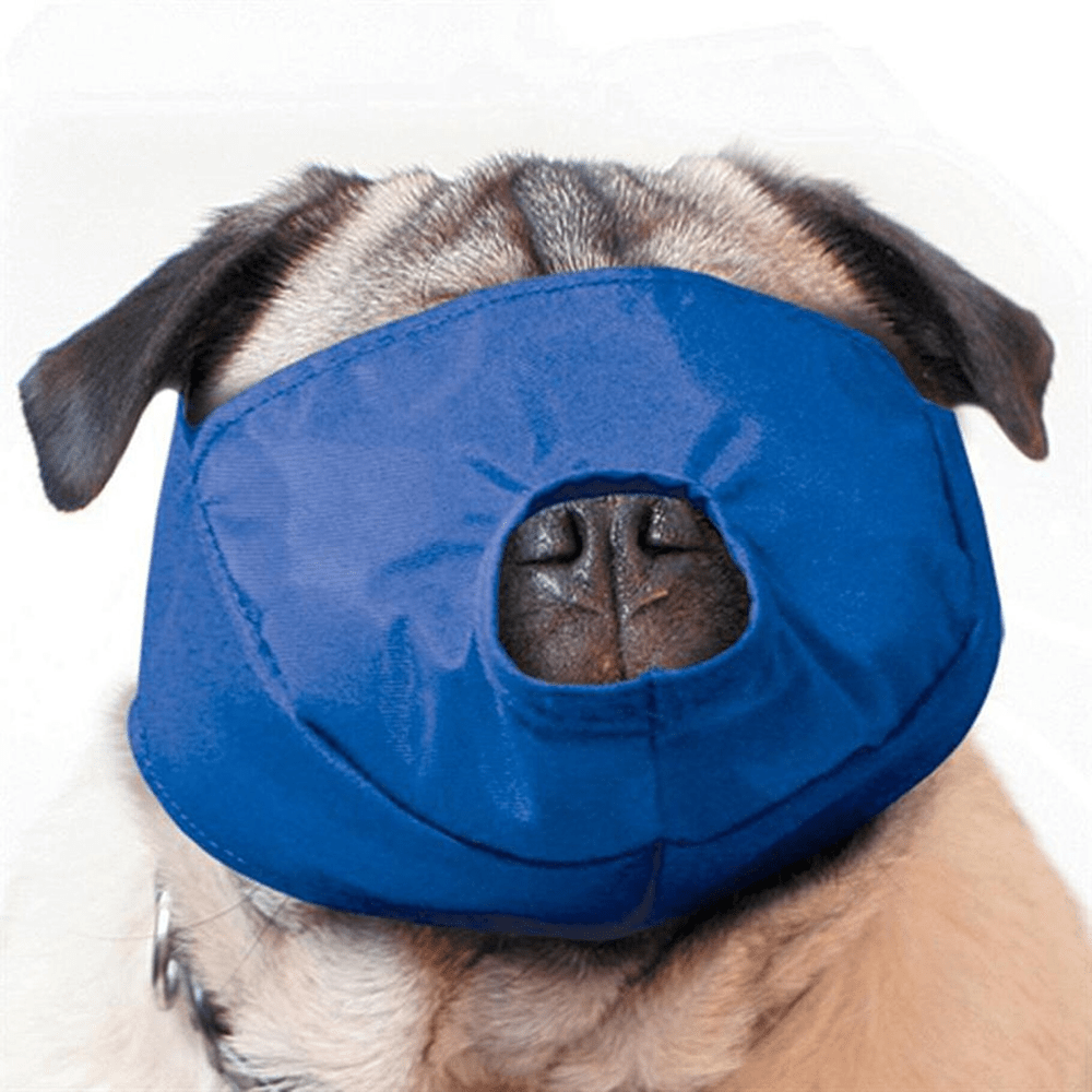 Four Flags Quick Pug Muzzle — Flat-Faced Breeds