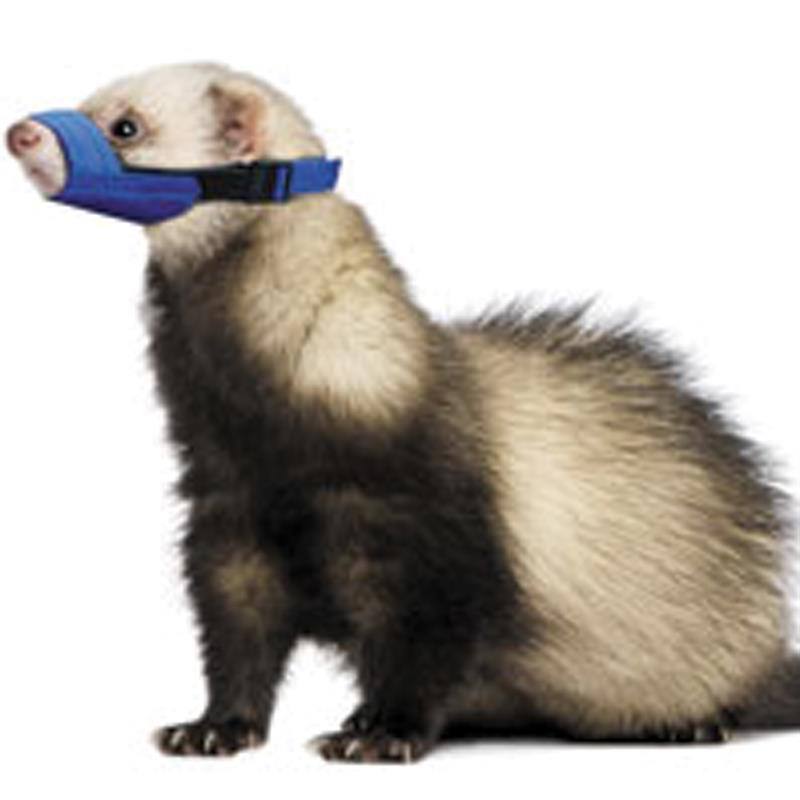 Four Flags Quick Ferret Muzzle — Grooming & Handling Aid