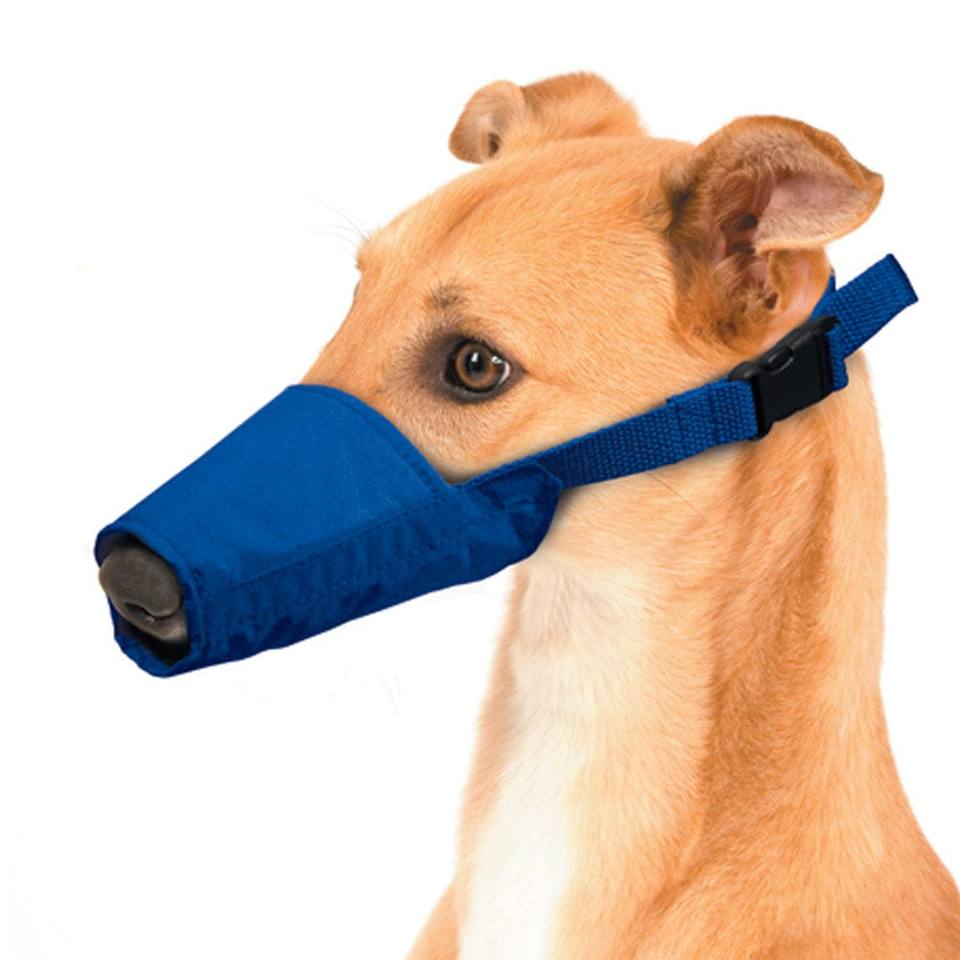 Four Flags Quick Muzzle for Long-Snouted Dogs