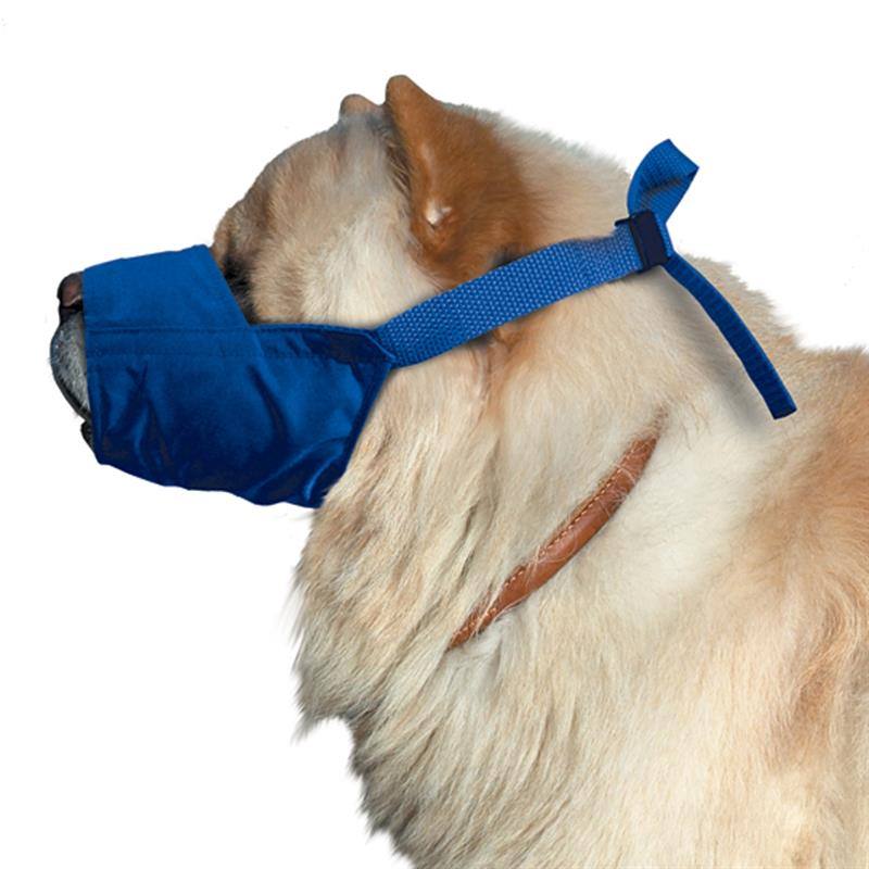Four Flags Short Snout Dog Muzzle — Flat-Faced Breed Fit