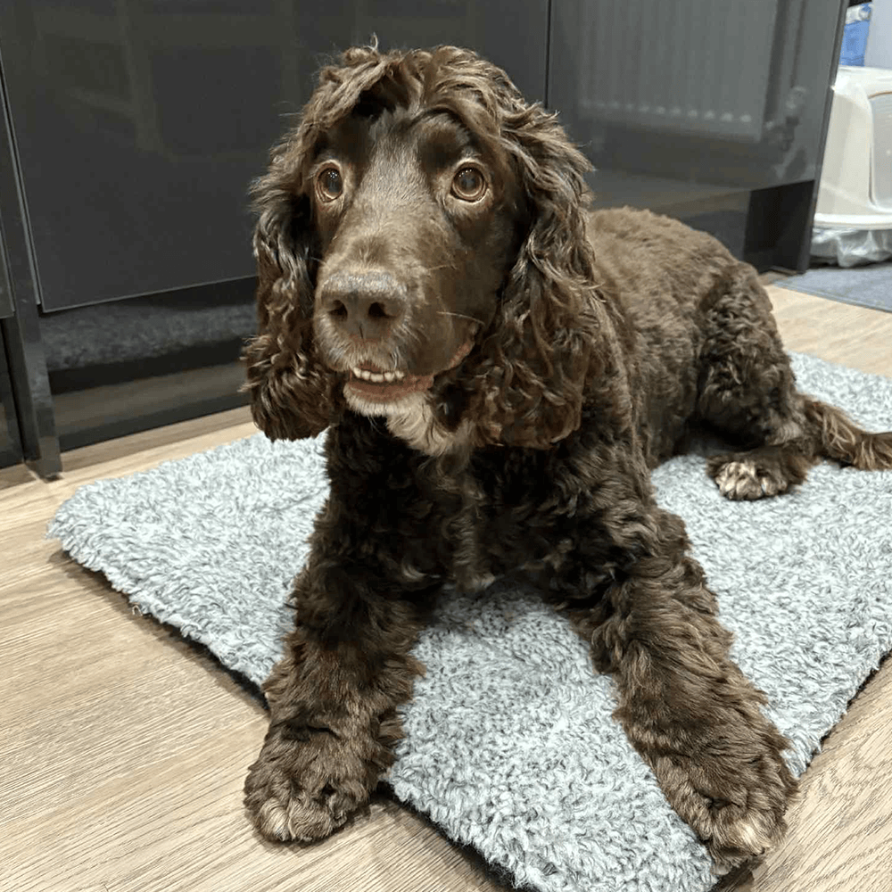 Speckled Fleece Pet Mat — Crate & Travel