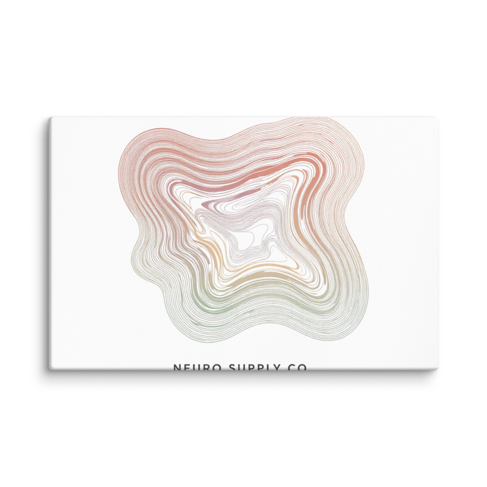 Flow Lines Canvas Print
