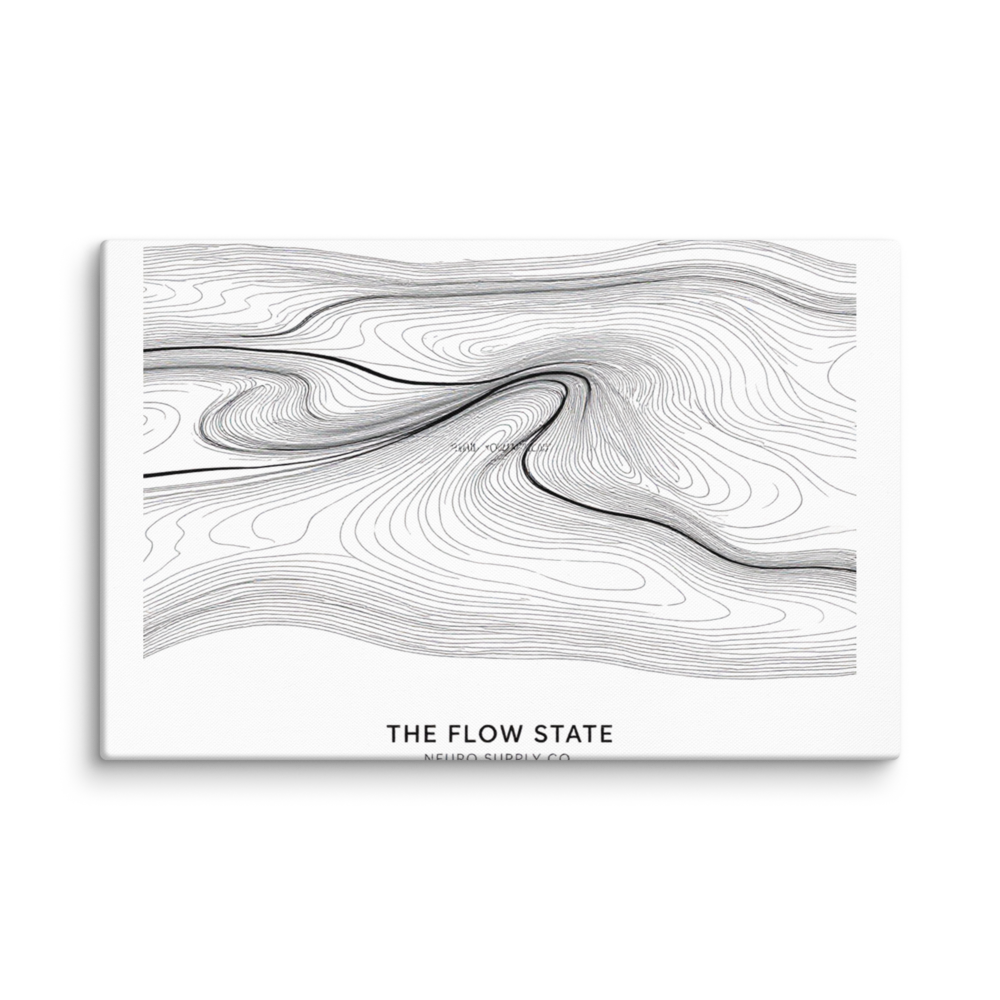The Flow State Canvas Print