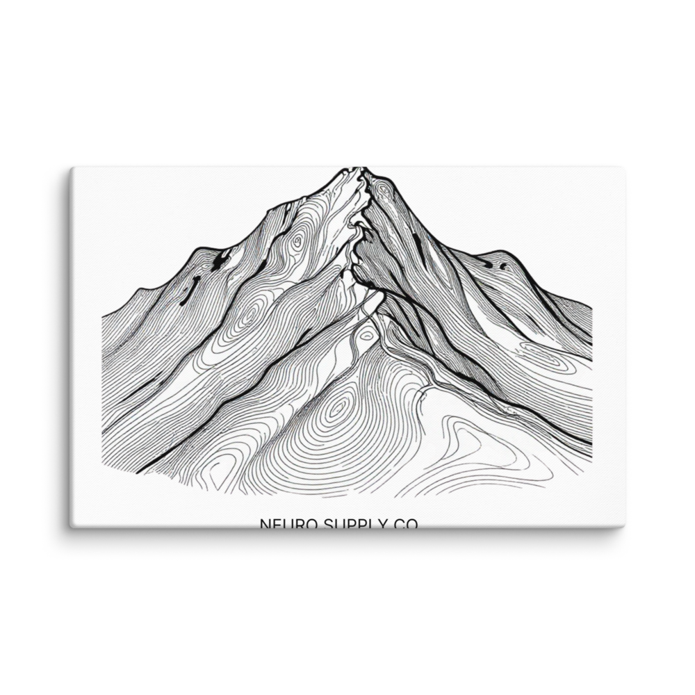 The Map Canvas Print