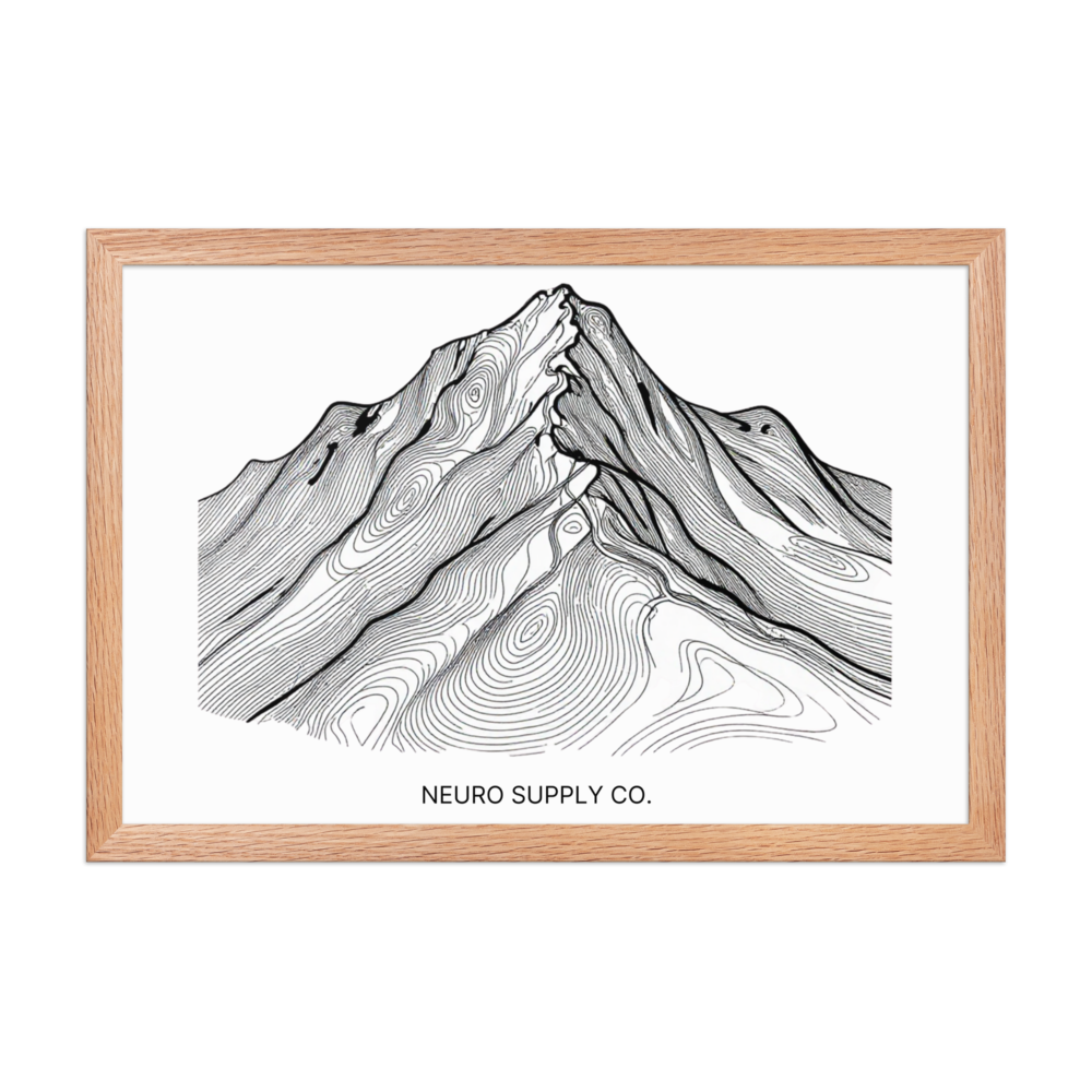 The Map Art Print